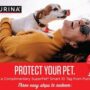 무료 반려동물 아이디 텍 FREE Smart Pet ID Tag from Purina